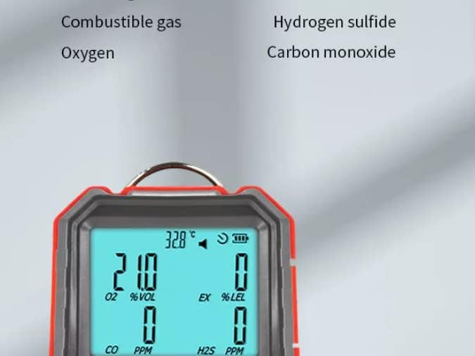 Diagram showing labeled LCD display elements of the WT8812 gas detector