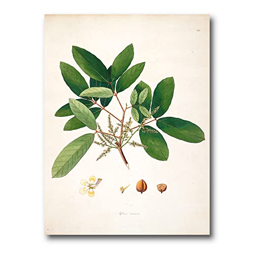 Toile murale rustique pour habiller un mur vide DesignQ Botanicals II