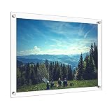 Vale Arbor Clear Acrylic Picture Frame, Large Floating Frameless Gallery Wall Double Panel for up to