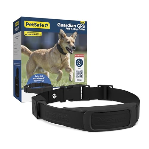 PetSafe Guardian GPS Dog Fence Collar and Accessories