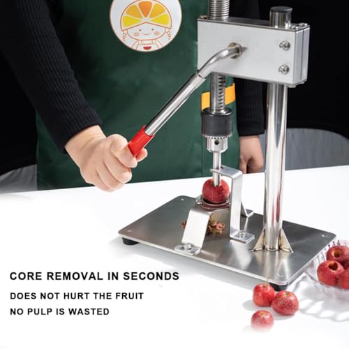 Herramienta de acero inoxidable, removedor de corazones de espino, removedor de huesos de frutas portátil para un uso fácil