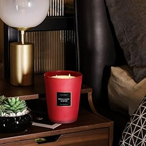 HomeLights Highly Scented Candles, Big 33.3 oz for Home, Natural Soy Aromatherapy Candles, Smokeless Long Lasting 130h with 3 Cotton Wicks, Candles Gifts for Women & Men - Apple Cider & Spice HomeLights Highly Scented Candles Big 333 oz for Home Natural Soy Aromatherapy Candles Smokeless Long Lasting 130h with 3 Cotton Wicks Candles Gifts for Women Men Apple Cider Spice