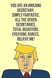 You Are An Amazing Secretary Simply Fantastic All the Other Secretaries Total Disasters Everyone Agree Believe Me: Donald Trump 110-Page Blank Secretary Gag Gift Idea Better Than A Card