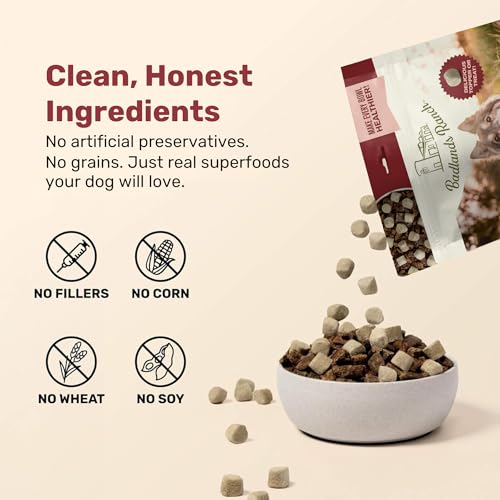 BADLANDS RANCH Superfood Nuggets – Freeze-Dried Raw Dog Treat & Food Topper, Nutrient-Dense Bison & Kale Formula, No Artificial Additives, 8oz Bags (4-Pack Bundle)