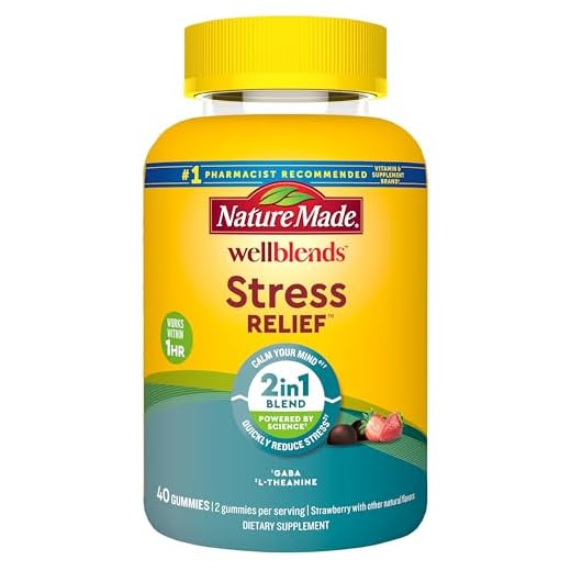 Nature Made Wellblends Stress Relief Gummies, L theanine 200mg to Help Reduce Stress, with GABA 100mg, Same Day Stress Support, 40 Strawberry Flavor Gummies