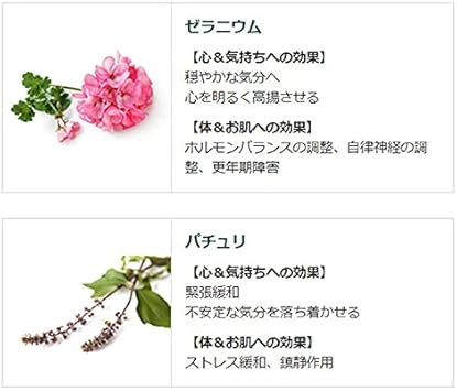 38 割引大人女性の 即納 2個セット クナイプバスソルトゼラニウム パチュリの香り850g2個 2 バス用品 日用品雑貨 Urbanfarminginstitute Org