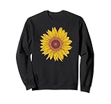 Sunflower Garden Flower Plant Nature Water