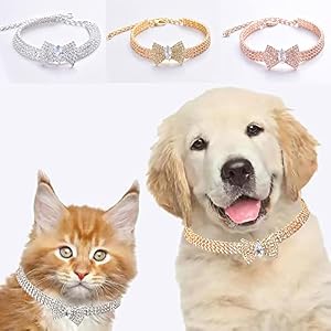 Pet Collar with Diamond Adjustable Crystal Bow Wedding Cat Collar Dog for Small Medium Pet Collar Dress Up Ornament Pet Collar with Diamond Adjustable Crystal Bow Wedding Cat Collar Dog for Small Medium Pet Collar Dress Up Ornament