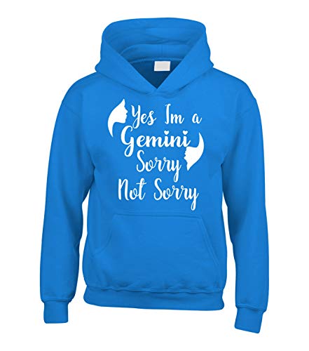 Sweat Gemini bleu Edward Sinclair sweat-shirt à capuche enfant 7-8 ans