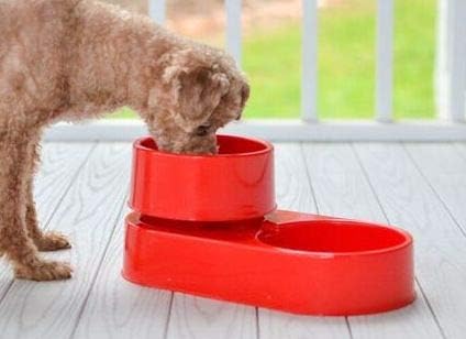 The 3-in-1 Ant Free Pet Dish 🐾(Large Red)