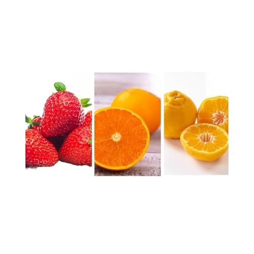 四季折々旬味覚!12ヶ月連続単品定期便♪ 苺 せとか デコポン 八朔 びわ 桃