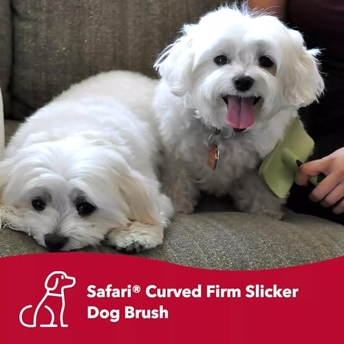 Coastal-Dog-Slicker-Brush-Green-Grooming-Shedding-Brush-for-Dogs-of-All-Hair-Types-Curved-Design-for-Easy-Detangling-Non-Slip-Handle-675-x-425 Coastal Dog Slicker Brush Green Grooming Shedding Brush for Dogs of All Hair Types Curved Design for Easy Detangling Non Slip Handle 675 x 425