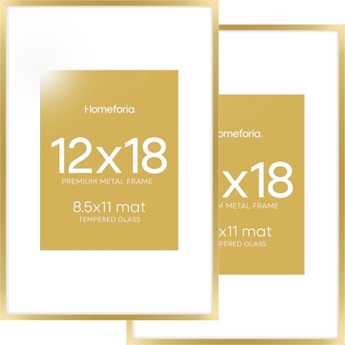 Homeforia 12x18 Gold Picture Frame with Mat (Set of 2)