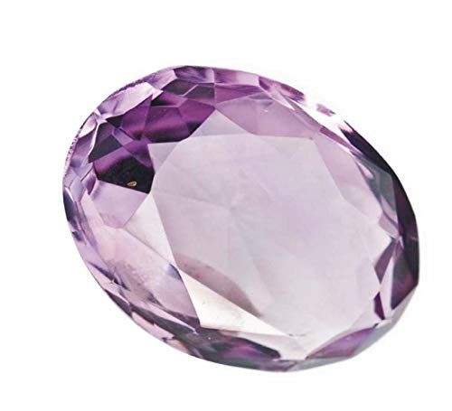 Tejvij And Sons 8.50Jbg WjXg[ AWXg NX^ F jp