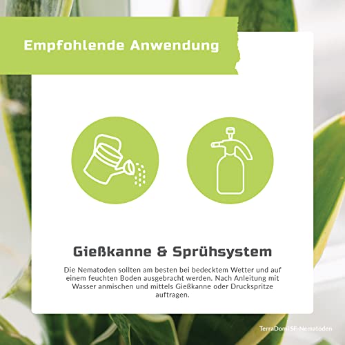 Nematoden TerraDomi SF gegen Trauermücken für Zimmerpflanzen