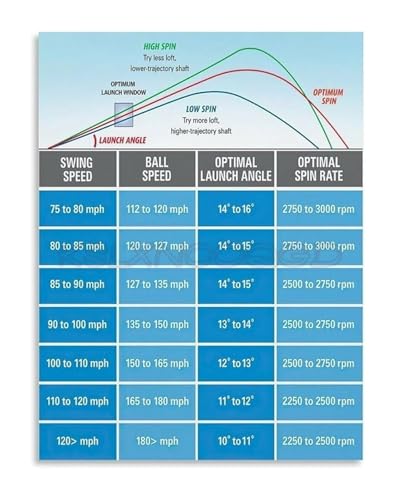 Driver Fitting Poster Swing Speed Club Flex Guide