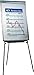 Produktbild Legamaster 7-152000 Professional Flipchart, e3-Emaille, Dreibein-Stativ, Chrom