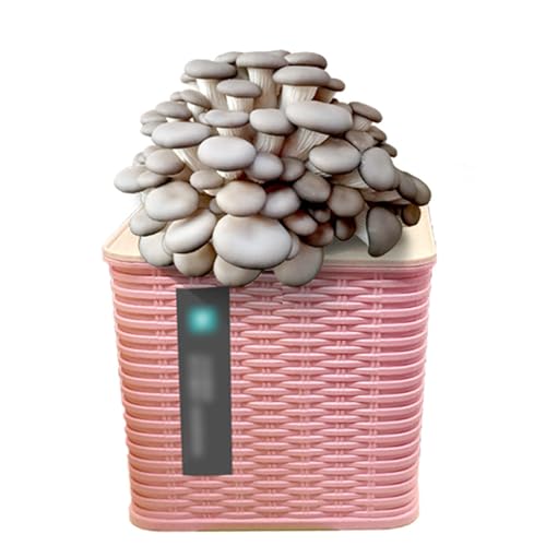 WJUHYGTF Kit De Culture Champignons Shiitake Biologiques, Mini Spores Pleurotes Bonsaï Mycélium, Aucune Expérience Requise, Idéal pour Les Débutants, Adapté À Toutes Villes Et Saisons,A