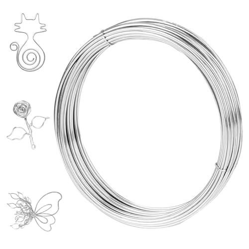 Alambre de acero inoxidable 304, diámetro de 1 mm x 60 m, plateado, alambre para manualidades y manualidades, bonsái, jardinería