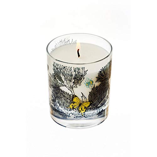 Bougie cire de soja 200g Gillian Kyle en verre décoré d'abeilles et chardons sauvages