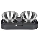 PewinGo Katzennapf-15°Kipphals-Schutzschale Edelstahl Lebensmittelqualität, Maschinenwaschbar,rutschfeste Silikonbasis,für Haustiere Katzen und Welpen