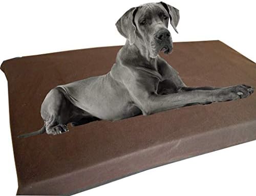 king bed with dog bed