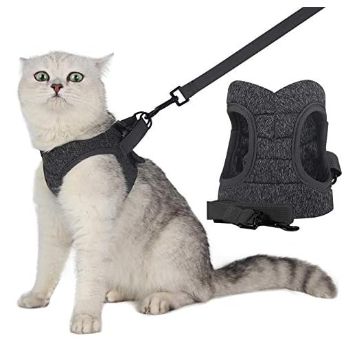 WD&CD Kattsele och koppel set, flyktsäker kattsele justerbar mjuk katt promenadjackor med infällbart kattkoppel för husdjur valp, stor