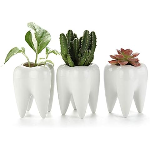 T4U Small Cute Tooth Planter Succulent Pots Teeth Pencil Holder Office Organizer Plant Gift for Dentist Mini White Ceramic Planter Pots for Succulents Herbs Cactus Pack of 3 Cover