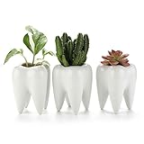 T4U 3.75 Inch White Ceramic Tooth Shaped Succulent Planter Pots Set of 3, Cute Cactus Plant Pot Creative Pen Pencil Holder for Home Office Desk Decoration Birthday Wedding