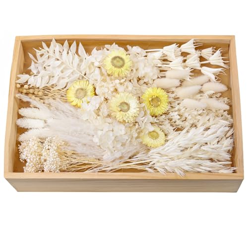 xin's convey Natural Dried Flower Set, Bulk Dried Flowers with Stems, Dried Daisies, Dried Rabbit's Tail Grass,Mini Bouquet.(White)