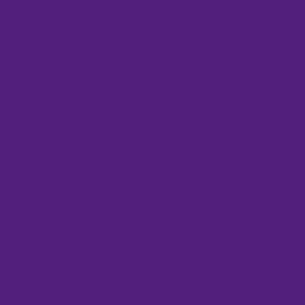 Dr.Ph.Martin's Bombay India Drawing Ink 30ML Bottles (Violet)