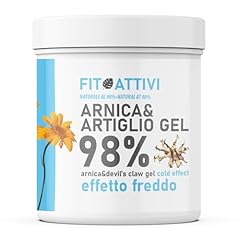 Arnica Gel Forte 550 ml, Arnica per Cavalli Uso Umano Effetto Freddo 98% con Artiglio del Diavolo Vitamina E Canfora per Massaggi Locali 100% BIO e Made in Italy - FITOATTIVI