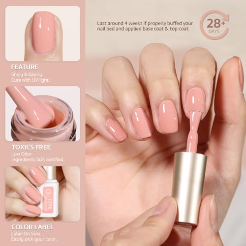 Image of GAOY Nude Pink Gel Nail Polish Set, 6 Neutral Colors Beige Skin Tone Soak Off UV Light Cure Gel Polish Kit for Salon and Nail Art DIY at Home