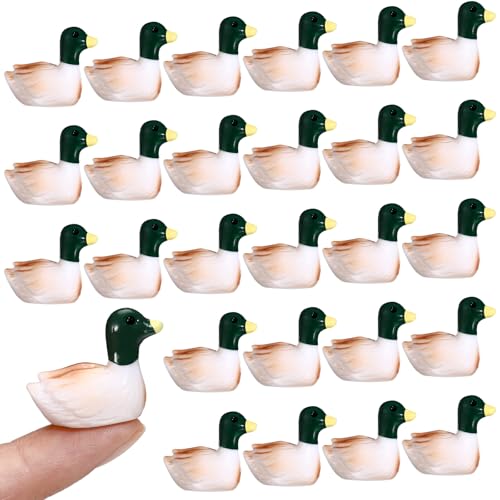 WinnerWhy 50 Pcs Mini Resin Mallard Mini Ducks Tiny Ducks