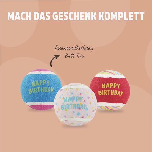 Rosewood Bonnie Geburtstagsbär - Plüsch-Hundespielzeug mit Quietscher - Weiches Kuscheltier als Hundegeschenk für Geburtstage, Adoptionstage und Festliche Momente