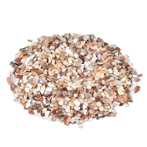 Conchas de mar trituradas naturales para decoración del hogar, manualidades, acuarios y paisajismo de jardín