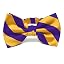 Dark Purple and Golden Yellow