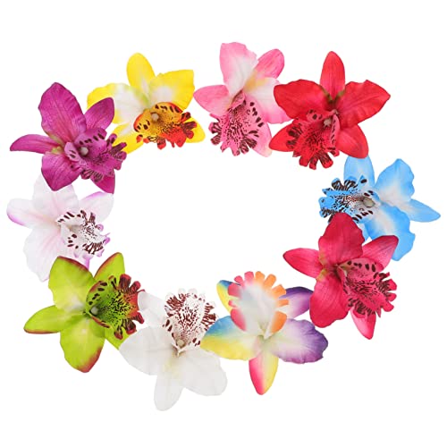 HONMEET 10 ̂񂴂 ԕ uC_p[eB[̋LOi  ɏ郋AẺ  p̗ ԉŉYl̍D ԉŃNbv e |GXeAXpfbNXA