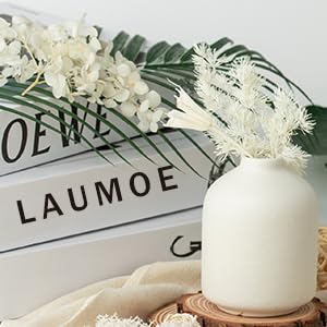 LAUMOE Getrocknete Blumen, Trockenblumen zum Basteln Mini Trockenblumen Set für DIY Epoxidharz Scrapbook Zubehör Handgemachte Heimdekoration Hochzeit (Weiß)