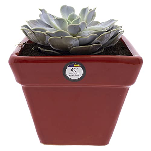 Macetas Barro Cuadradas Marca CR CERAMICA RAMBLEÑA