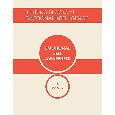 Emotional Self-Awareness