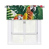 Photo Gallery enrpty tenda mantovana con stampa di fiori tropicali e foglie di pappagallo, per cucina, bagno, camera da letto, soggiorno, decorazione per la casa, 137 x 45,7 cm Photo Gallery enrpty tenda mantovana con stampa di fiori tropicali e foglie di pappagallo, per cucina, bagno, camera da letto, soggiorno, decorazione per la casa, 137 x 45,7 cm