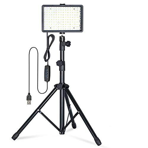 Find The Best Light For Food Photography Reviews & Comparison Katynel