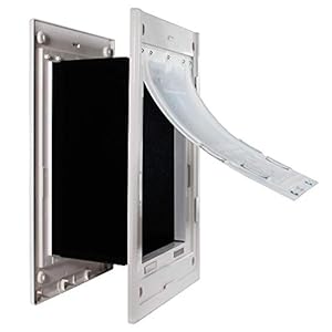 Dragon Pet Door for Walls