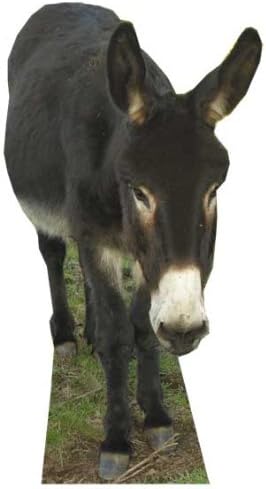Donkey - Wildlife/Animal Lifesize Cardboard Cutout/Standee/Standup