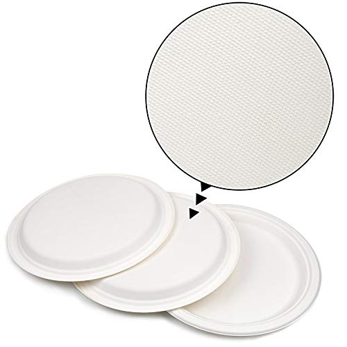 Green Earth - Natural Bagasse (Sugarcane Fiber) Tree Free 9" Paper Plate / Biodegradable / Compostable (500 Counts Disposable Plates） #TOP1