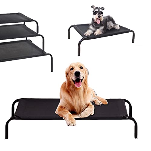 Elevated Dog Beds