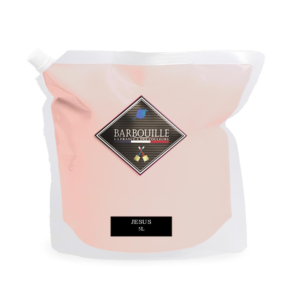 Peinture Acrylique Rose Poudré Jésus - Aspect Satin - Peinture Mur, Plafond, Boiserie & Balcon - Lessivable - Séchage En 30 min - COV A+ - Fabriquée En France - 5 L - BARBOUILLE