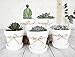 3 Inch Succulent Pots - 12 Pack White Clay Mini Terracotta Pots with Saucers and Drainage Hole, Paintable Pottery for Succulents, Small Flower Pot, Cactus, Garden Crafts, and Wedding Decor