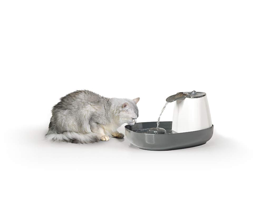 SAVIC Fuente Agua PERR-Gato 1.5L